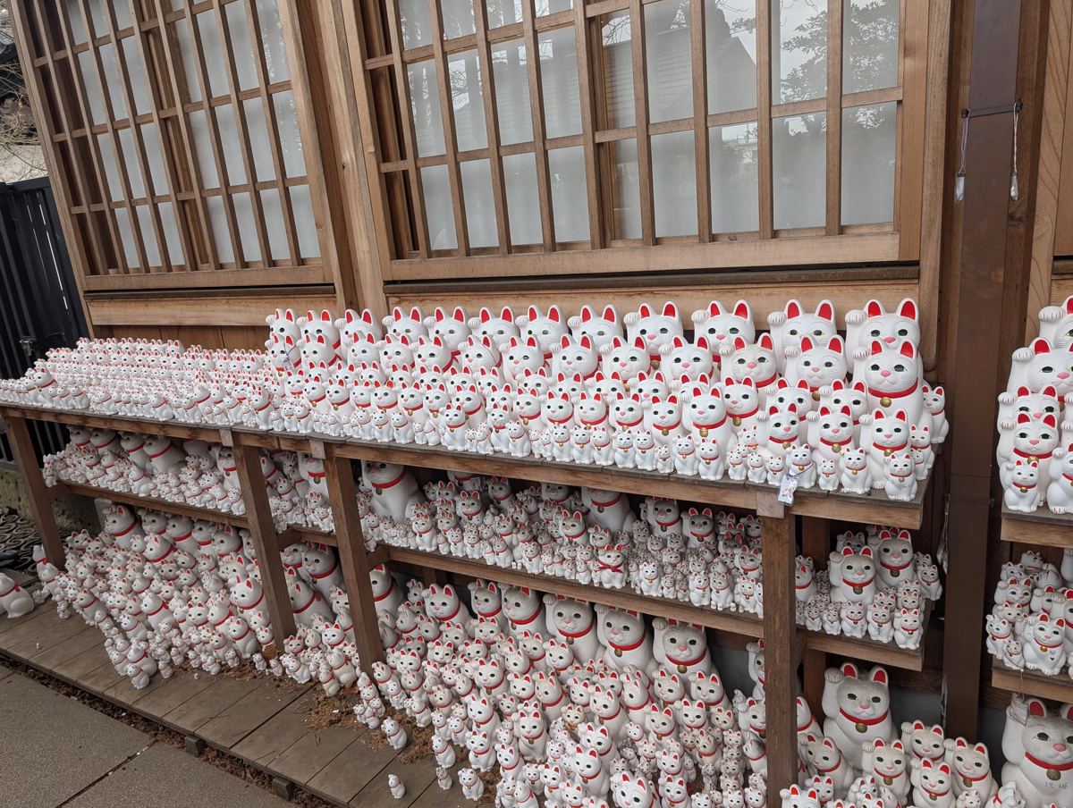 Shelves of hundreds of white maneki-neko figurines with red ears and collars outside a temple in Tokyo.